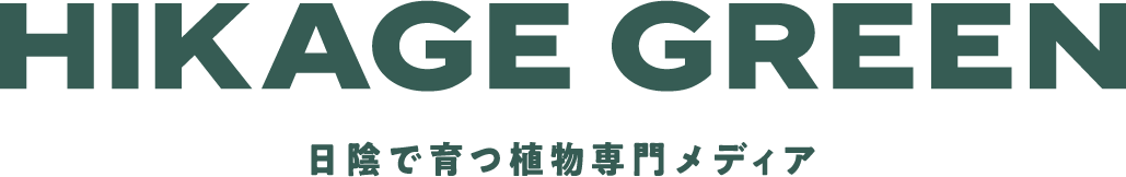 HIKAGE GREEN